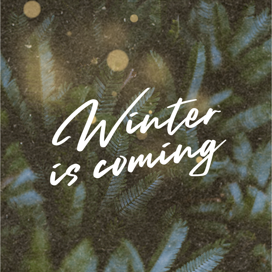 Transitioning the Treatment Room for Winter Months