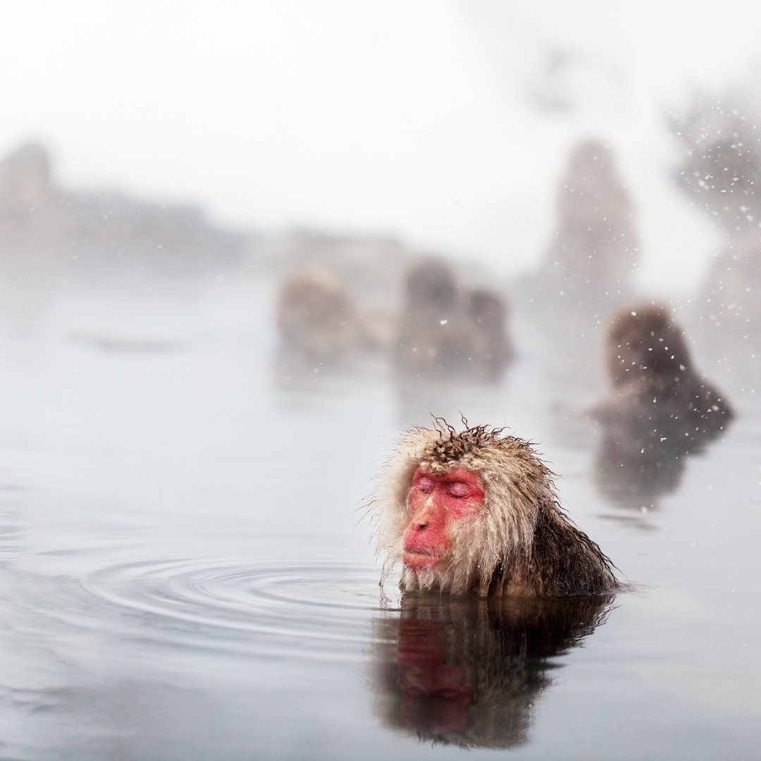 Global Perspectives on Self-Care: How People Around the World Prioriti ...